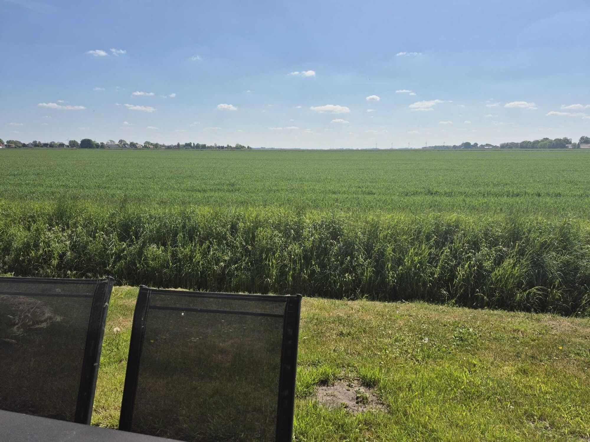 Ferienhaeuser Freiblick Ditzumerverlaat 外观 照片